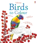 Image for Birds to Colour