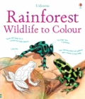 Image for Rainforest to Colour