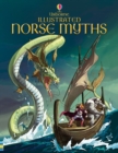 Image for Usborne illustrated Norse myths