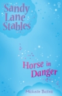 Image for Horse in danger