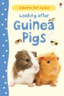 Image for Looking after guinea pigs