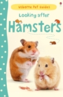 Image for Looking after hamsters