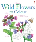 Image for Wild Flowers to Colour