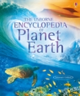 Image for The Usborne Encyclopedia of Planet Earth
