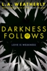 Image for Darkness Follows