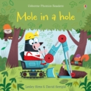 Image for Mole in a Hole