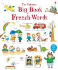 Image for The Usborne big book of French words