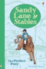 Image for Sandy Lane Stables The Perfect Pony