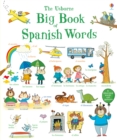Image for The Usborne big book of Spanish words
