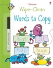 Image for Wipe-clean Words to Copy