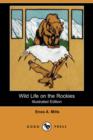 Image for Wild Life on the Rockies (Illustrated Edition) (Dodo Press)