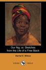 Image for Our Nig; Or, Sketches from the Life of a Free Black (Dodo Press)