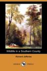 Image for Wildlife in a Southern County (Dodo Press)