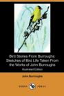 Image for Bird Stories from Burroughs : Sketches of Bird Life Taken from the Works of John Burroughs (Illustrated Edition) (Dodo Press)