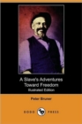 Image for A Slave&#39;s Adventures Toward Freedom (Illustrated Edition) (Dodo Press)