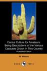 Image for Cactus Culture for Amateurs