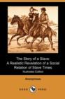 Image for The Story of a Slave : A Realistic Revelation of a Social Relation of Slave Times (Illustrated Edition) (Dodo Press)