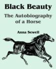 Image for Black Beauty : The Autobiography of a Horse (Large Print Edition)