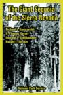 Image for The Giant Sequoia of the Sierra Nevada