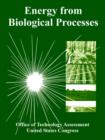 Image for Energy from Biological Processes