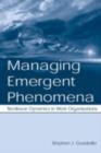 Image for Managing Emergent Phenomena: Nonlinear Dynamics in Work Organizations