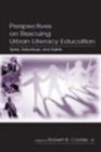 Image for Perspectives on rescuing urban literacy education: spies, saboteurs, and saints