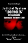 Image for Comprehensive Study of Judicial System &quot;Loopholes&quot; in Relation to Domestic Violence (DV):