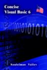 Image for Concise Visual Basic 6.0 course  : Visual Basic for beginners