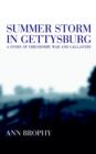 Image for Summer Storm in Gettysburg: A Story of Friendship, War, and Galantry