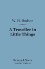 Image for Traveller in Little Things (Barnes &amp; Noble Digital Library)