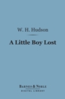 Image for Little Boy Lost (Barnes &amp; Noble Digital Library)