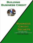 Image for Building Business Credit