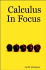 Image for Calculus In Focus