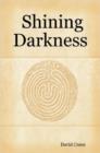 Image for Shining Darkness