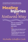 Image for Healing Injuries the Natural Way : How to Mend Bones, Muscles, Tendons and More