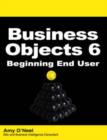 Image for Business Objects 6 Beginning End User