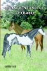 Image for The Adventures of Cherokee