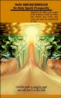 Image for Daily Breakthrough to Holy Spirit Prosperity