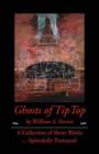 Image for Ghosts of Tip Top
