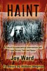 Image for Haint : A Tale of Extraterrestrial Intervention and Love Across Time and Space