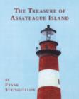 Image for The Treasure of Assateague Island