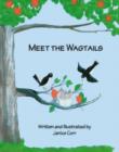 Image for Meet The Wagtails