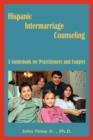 Image for Hispanic Intermarriage Counseling : A Guidebook for Practitioners and Couples