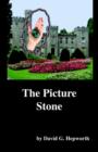 Image for The Picture Stone