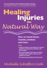 Image for Healing Injuries the Natural Way: How to Mend Bones, Muscles, Tendons and More