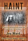 Image for Haint: A Tale of Extraterrestrial Intervention and Love Across Time and Space