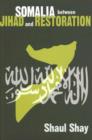 Image for Somalia between Jihad and restoration