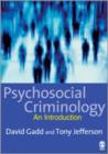 Image for Psychosocial criminology