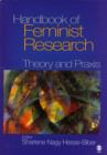 Image for Handbook of feminist research  : theory and praxis