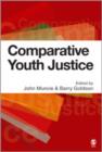 Image for Comparative Youth Justice